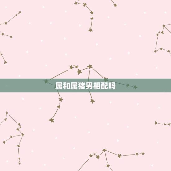 属和属猪男相配吗，93鸡95猪结婚好不好