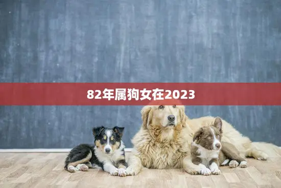 82年属狗女在2023(如何迎接属相犯太岁的挑战)
