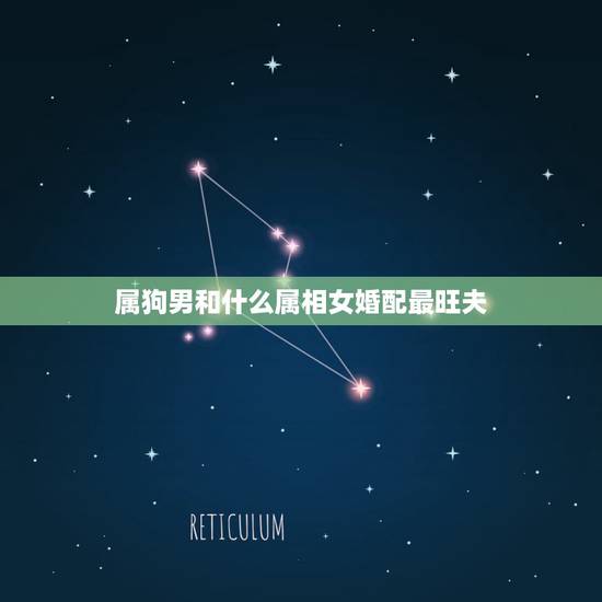 属狗男和什么属相女婚配最旺夫,属狗的属相婚配表大全 属狗的男女和什么属 属狗男和什么属相女婚配最旺夫,属狗的属相婚配表大全 属狗的男女和什么属