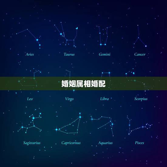 婚姻属相婚配，十二生肖婚姻配对最好呢？