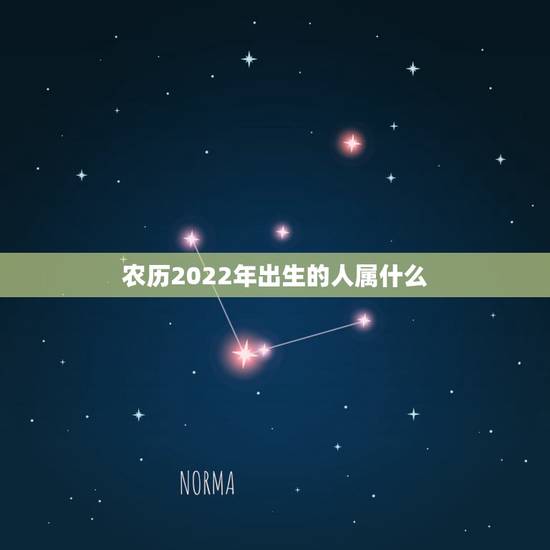 农历2022年出生的人属什么,农历12月30日前出生人属什么 农历2022年出生的人属什么,农历12月30日前出生人属什么