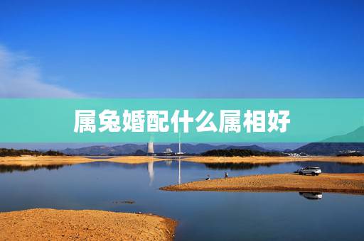 属兔婚配什么属相好,兔子与属什么的婚姻最配 属兔婚配什么属相好,兔子与属什么的婚姻最配