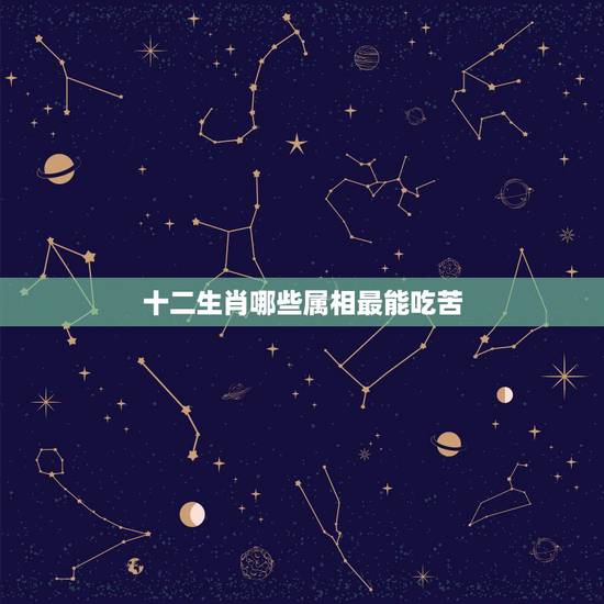 十二生肖哪些属相最能吃苦，老鼠为什么能上12生肖