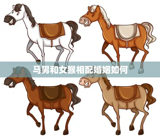 马男和女猴相配婚姻如何(解析星座配对是否适合)