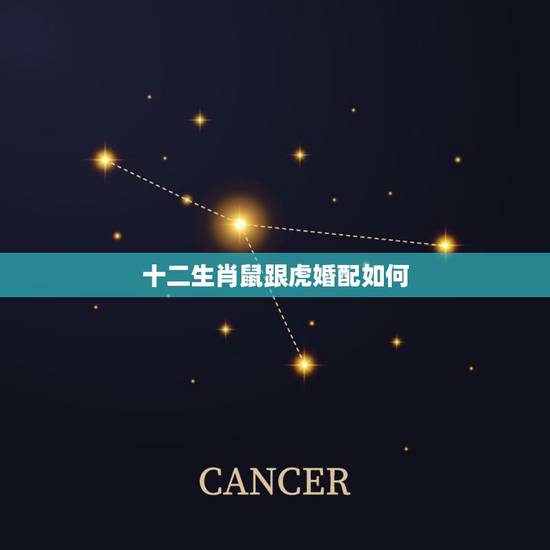 十二生肖鼠跟虎婚配如何,鼠和虎相配婚姻如何 十二生肖鼠跟虎婚配如何,鼠和虎相配婚姻如何