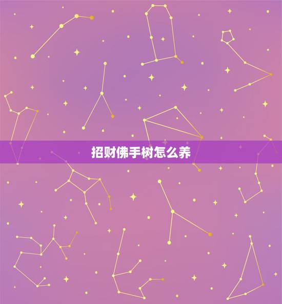 招财佛手树怎么养,招财佛手怎么养? 招财佛手树怎么养,招财佛手怎么养?