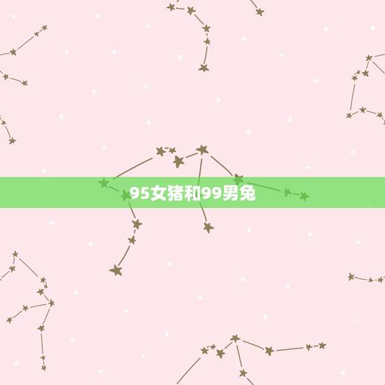 95女猪和99男兔，99年兔男比95年猪女小几岁