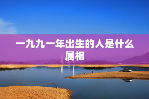 一九九一年出生的人是什么属相,公历一九九一年二月七日生人,属相是什么 一九九一年出生的人是什么属相,公历一九九一年二月七日生人,属相是什么