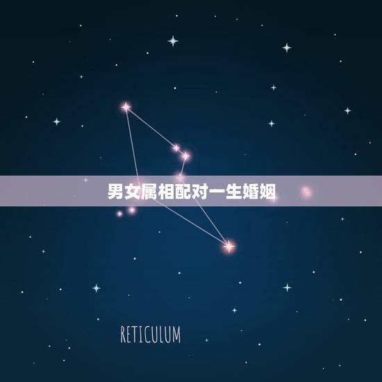 男女属相配对一生婚姻，属相婚配