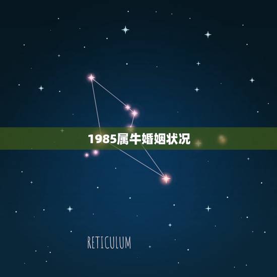 1985属牛婚姻状况 85年属牛一生两次婚姻 1985属牛婚姻状况 85年属牛一生两次婚姻
