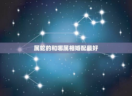 属蛇的和哪属相婚配最好,属相婚配表,属蛇的和什么属相最配 属蛇的和哪属相婚配最好,属相婚配表,属蛇的和什么属相最配