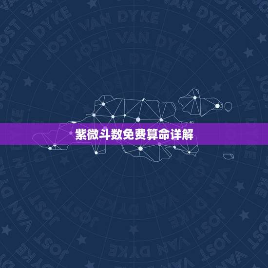 紫微斗数免费算命详解，个人紫薇命盘 求详解