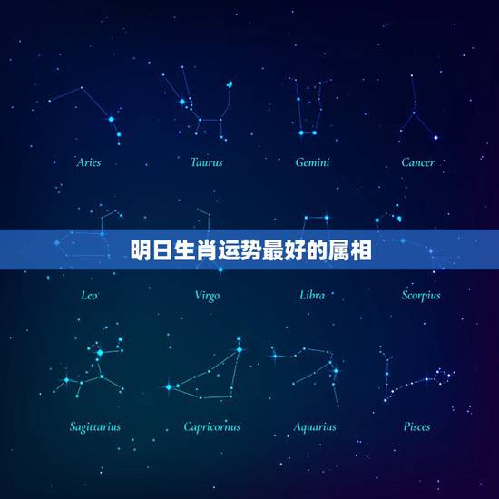 明日生肖运势最好的属相，属蛇2023年运势及运程每月运程