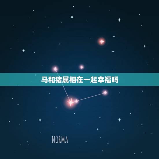 马和猪属相在一起幸福吗，我想问下属马的和属猪的结婚后会幸福吗