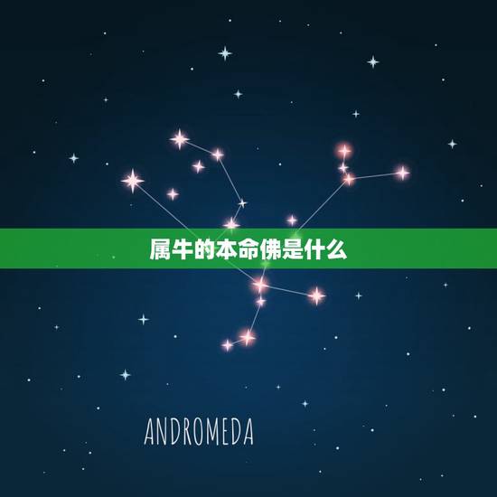 属牛的本命佛是什么 1997本命佛是什么