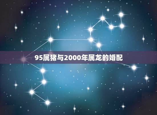 95属猪与2000年属龙的婚配，属猪男1995年和属龙女2000年婚姻