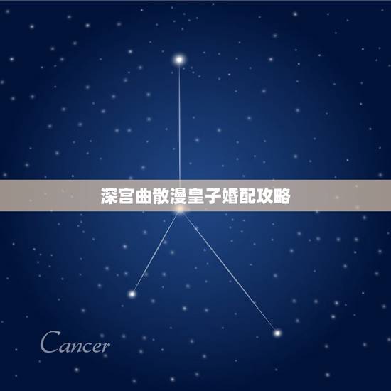 深宫曲散漫皇子婚配攻略，深宫曲怎么杀皇子
