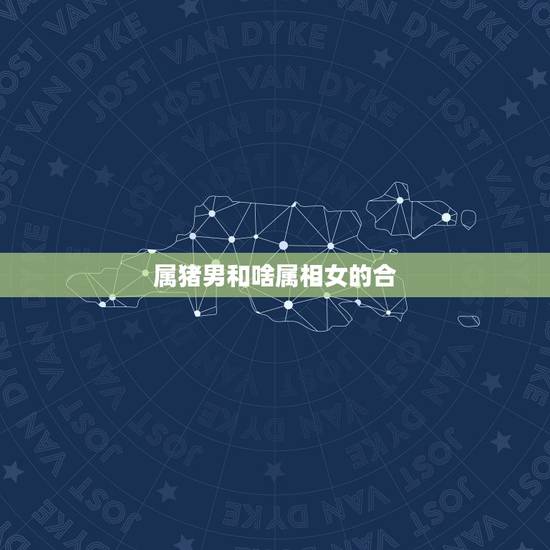 属猪男和啥属相女的合,男属猪和女什么属相最配 属猪男和啥属相女的合,男属猪和女什么属相最配