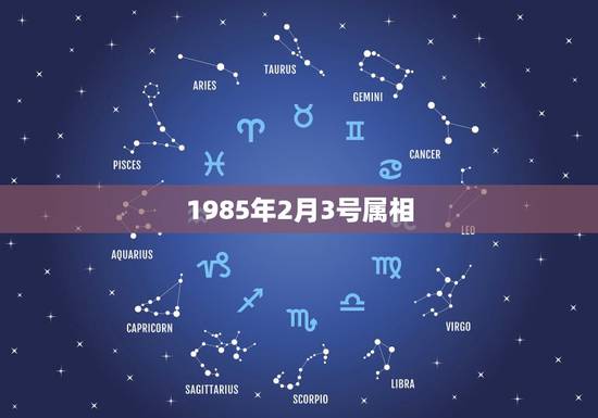 1985年2月3号属相，1985年属牛2月出生的命运