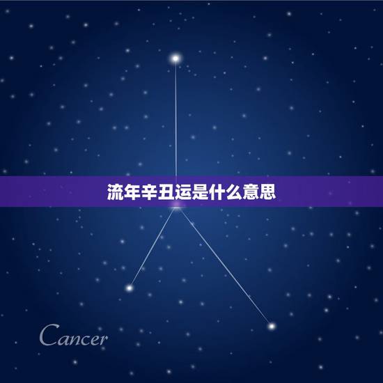 流年辛丑运是什么意思,己亥大运 己亥流年 指的是什么意思 流年辛丑运是什么意思,己亥大运 己亥流年 指的是什么意思