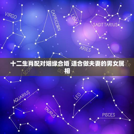 十二生肖配对姻缘合婚 适合做夫妻的男女属相 十二生肖配对姻缘合婚 适合做夫妻的男女属相