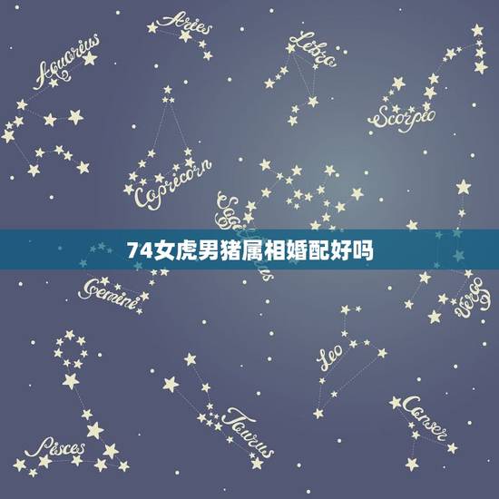 74女虎男猪属相婚配好吗,71年的属猪男和74年的属虎女她们的感情能长 74女虎男猪属相婚配好吗,71年的属猪男和74年的属虎女她们的感情能长