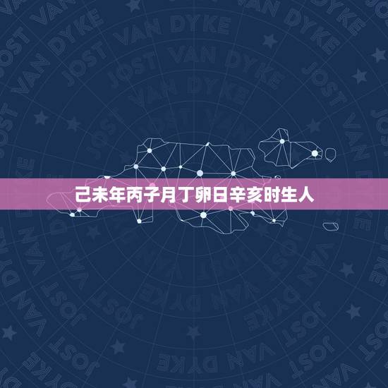 己未年丙子月丁卵日辛亥时生人，己巳丙子丁未辛亥