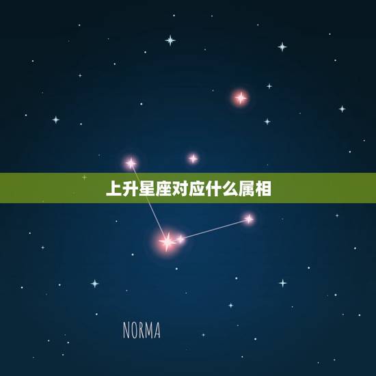 上升星座对应什么属相，请高手帮我准确的计算一下我的上升星座和所属资料，