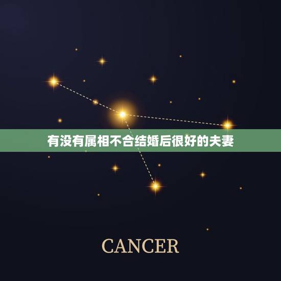 有没有属相不合结婚后很好的夫妻，牛和虎属相合不合结婚