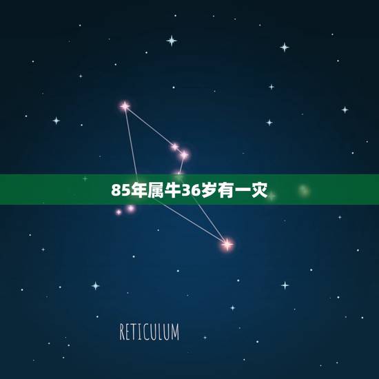 85年属牛36岁有一灾,1985属牛36岁本命年财运如何 85年属牛36岁有一灾,1985属牛36岁本命年财运如何