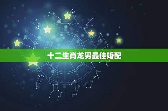 十二生肖龙男最佳婚配，属龙男和什么属相最配