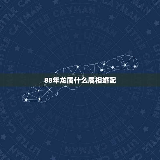 88年龙属什么属相婚配，88年属龙的和什么属相的比较配啊？