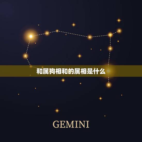 和属狗相和的属相是什么,属狗的生肖要和什么生肖才相合,和龙合会怎样 和属狗相和的属相是什么,属狗的生肖要和什么生肖才相合,和龙合会怎样
