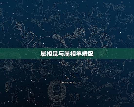 属相鼠与属相羊婚配,1979年属羊男与1972年属鼠女婚配幸福吗 属相鼠与属相羊婚配,1979年属羊男与1972年属鼠女婚配幸福吗