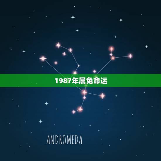 1987年属兔命运，属兔1987年7月22命怎样