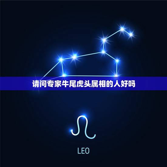 请问专家牛尾虎头属相的人好吗，属牛的12月20日出身的命苦吗？