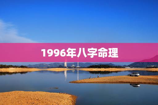 1996年八字命理,2022 年庚子动婚姻宫的八字 1996年八字命理,2022 年庚子动婚姻宫的八字