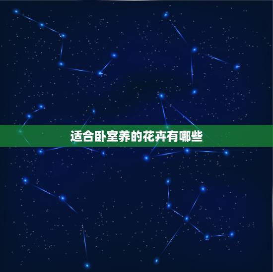 适合卧室养的花卉有哪些，什么花适合卧室养？