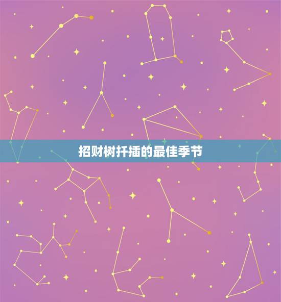 招财树扦插的最佳季节,红枫树什么季节可以扦插 招财树扦插的最佳季节,红枫树什么季节可以扦插