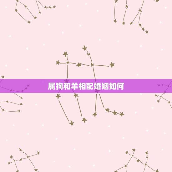 属狗和羊相配婚姻如何,属羊的比属狗大3岁结婚后果 属狗和羊相配婚姻如何,属羊的比属狗大3岁结婚后果