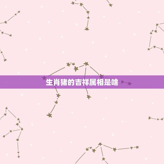 生肖猪的吉祥属相是啥，生肖猪的幸运颜色是什么啊？