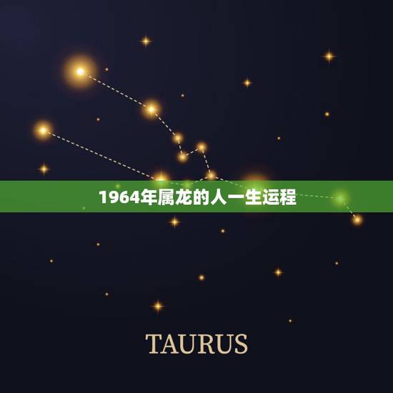 1964年属龙的人一生运程，1964年男财运