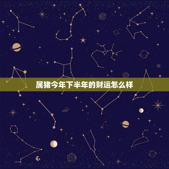 属猪今年下半年的财运怎么样，今年属猪的财运和运气如何2021年