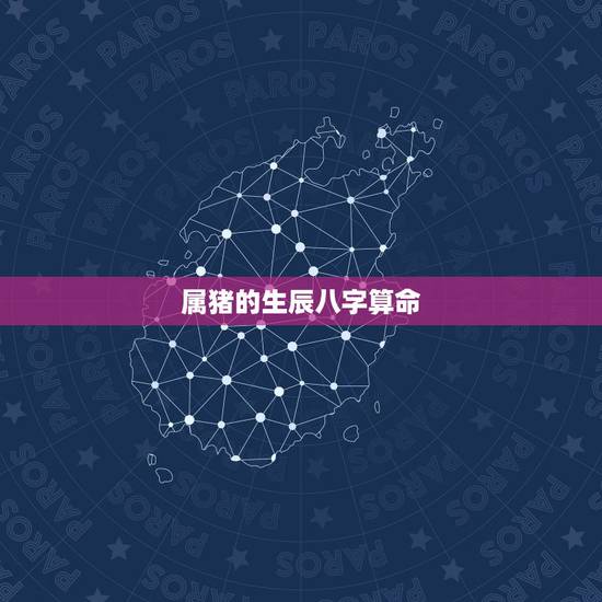 属猪的生辰八字算命，95过往之猪命好吗