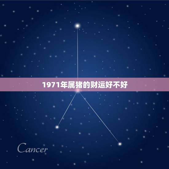 1971年属猪的财运好不好,71年属猪养什么花财运好 1971年属猪的财运好不好,71年属猪养什么花财运好