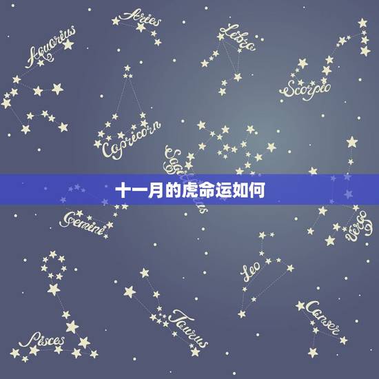 十一月的虎命运如何,2022 生肖虎 十一月的虎命运如何,2022 生肖虎