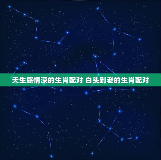 天生感情深的生肖配对 白头到老的生肖配对 天生感情深的生肖配对 白头到老的生肖配对