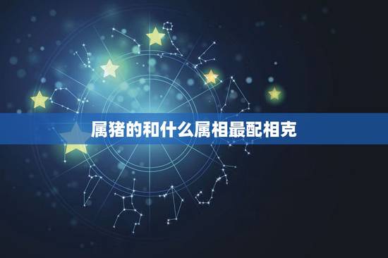 属猪的和什么属相最配相克，属猪的和哪些属相最相配