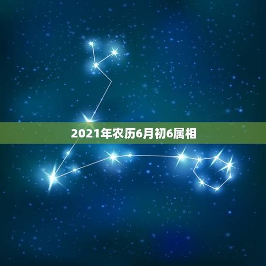 2021年农历6月初6属相，2021年十二生肖每月详解