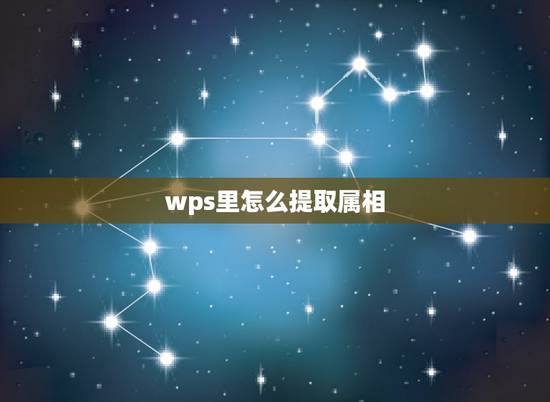 wps里怎么提取属相，WPS如何提取筛选出来的信息